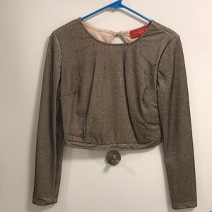 Gold crop top with mesh overlay